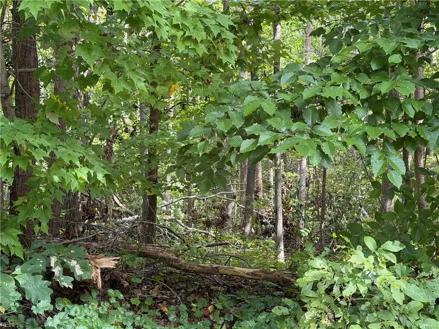 6.72Ac Hudson Mill Drive Drive, Lawrenceville, VA 23868 - #3