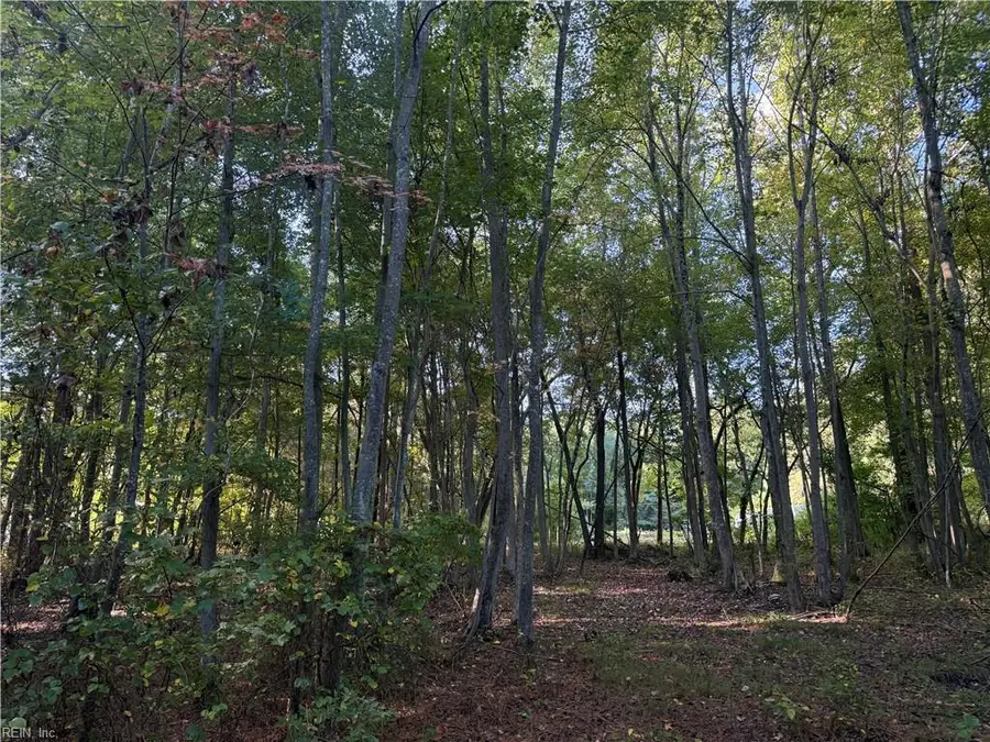 9323 Line Fence Road, Hayes, VA 23072 - #2