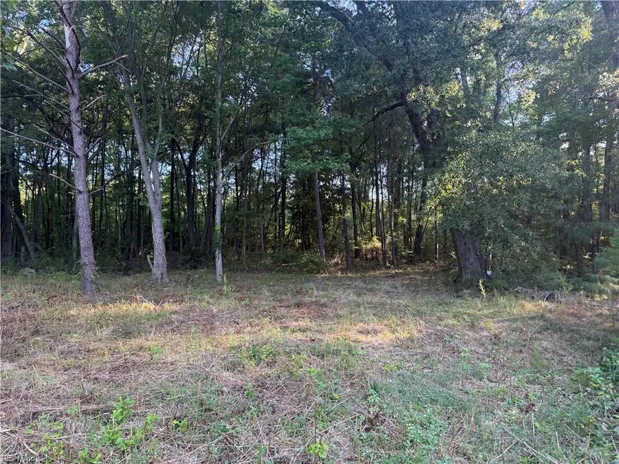 9323 Line Fence Road, Hayes, VA 23072 - #3