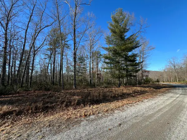 Lot 45 Black Diamond Dr, New Castle, VA 24127