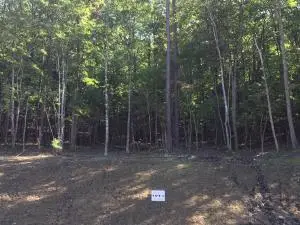 5590 Hunt Camp Rd, Cave Spring, VA 24018 - #2