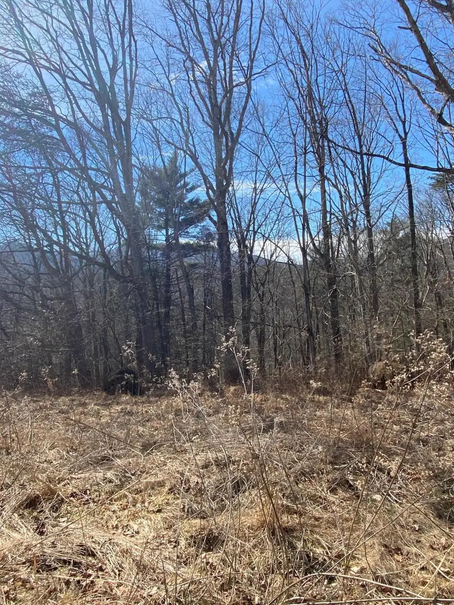 Lot 28 River Rock Rd, Vinton, VA 24179 - #3