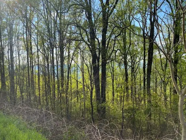 0 Jeters Chapel Rd, Vinton, VA 24179 - #1