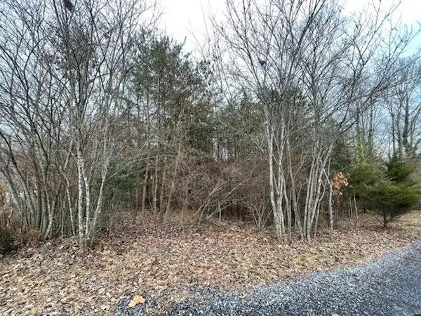 Lot 49 Overlook Cir, Moneta, VA 24121