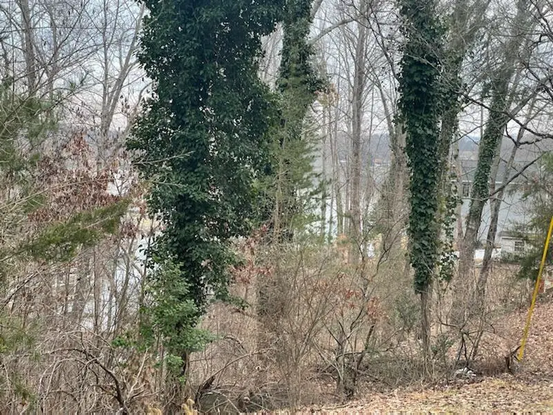 Lots 49/50 Overlook Cir, Moneta, VA 24121 - #1