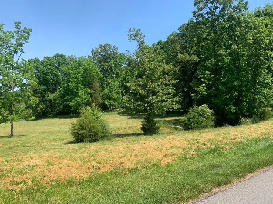 13A-1 Waters Edge Dr, Penhook, VA 24137 - #2