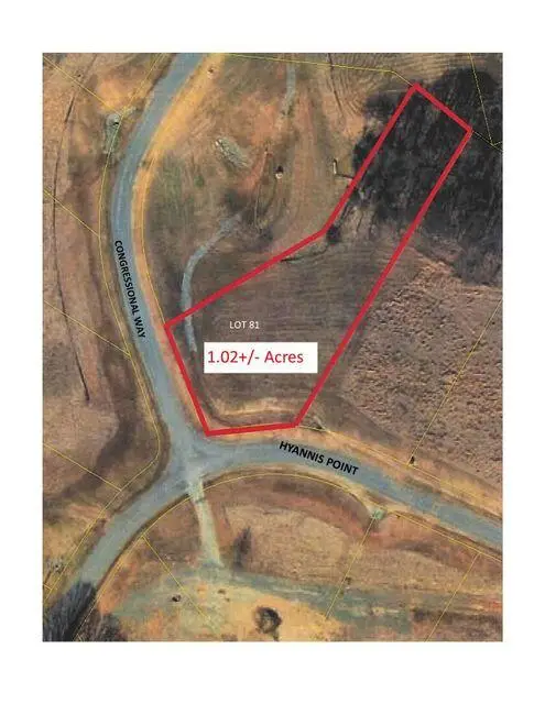 81 Hyannis Pt, Union Hall, VA 24176 - #2