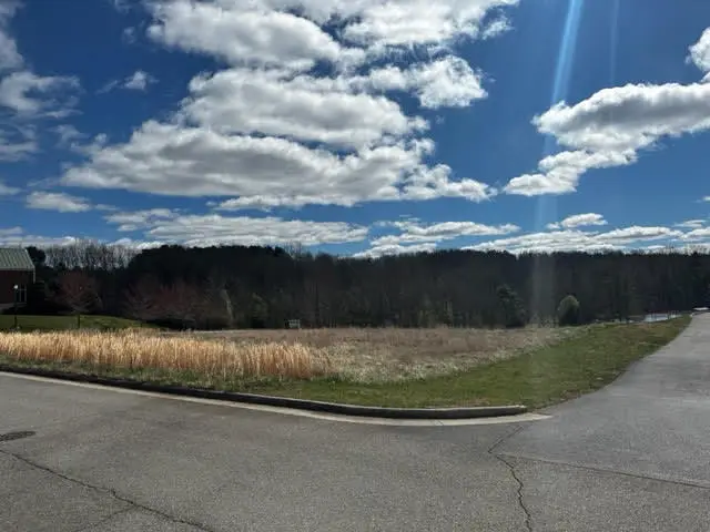 Tract 5-A Builders Pride Dr, Hardy, VA 24101 - #1