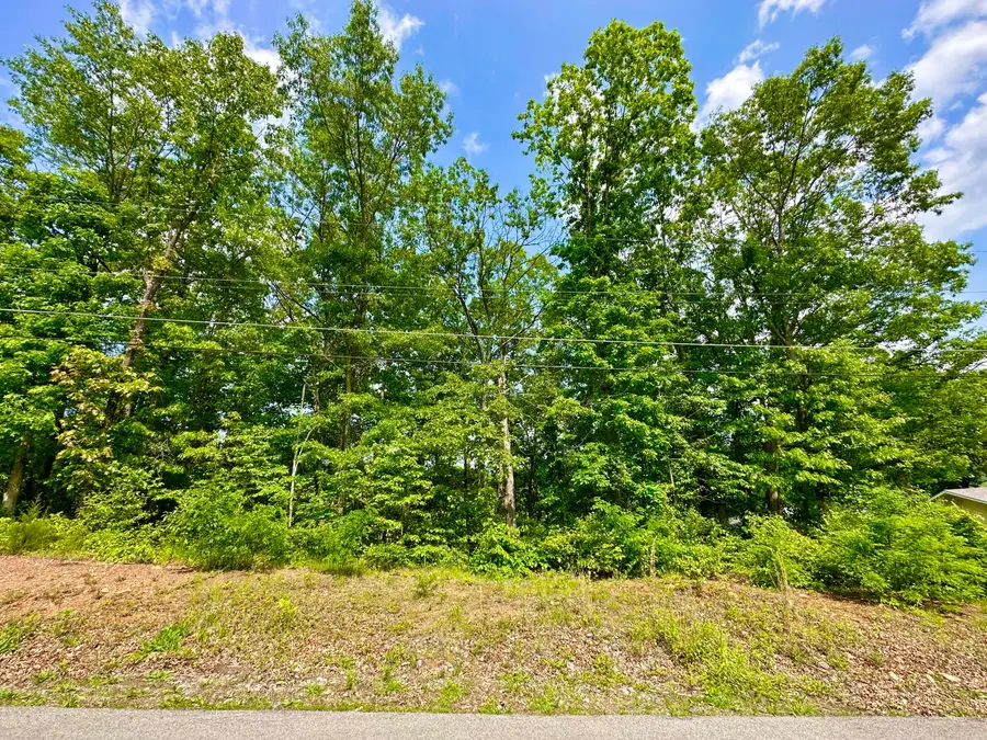 Lot 1 & 2 St John St, Clifton Forge, VA 24422 - #3