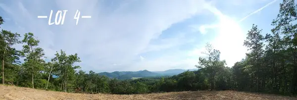 2881 Reese Mountain Rd, Elliston, VA 24087