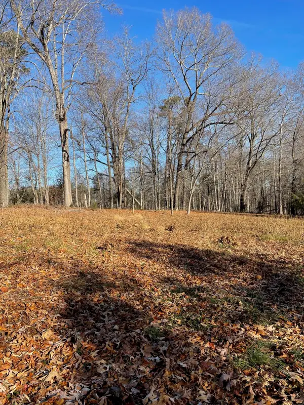 Lot 49 Lake View Pt, Glade Hill, VA 24092
