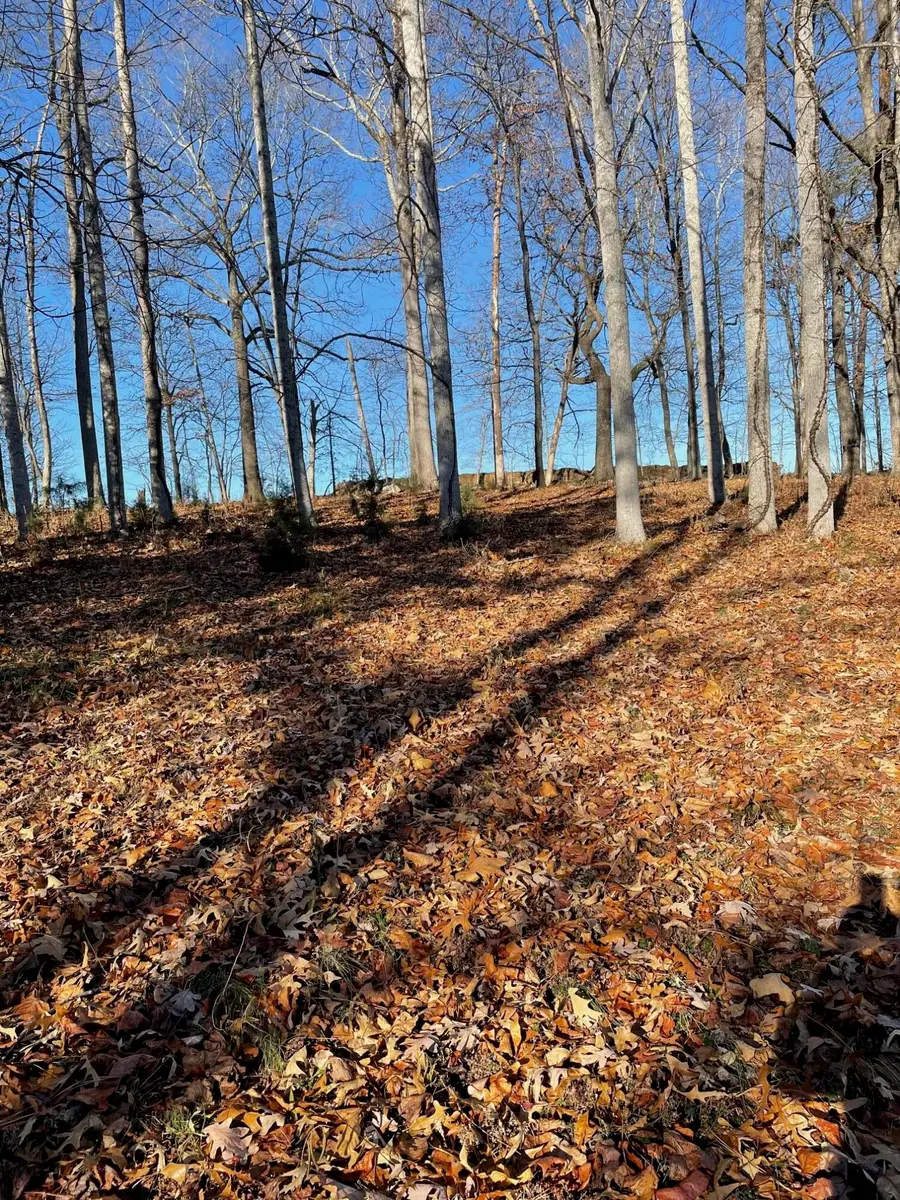 Lot 49 Lake View Pt, Glade Hill, VA 24092 - #2