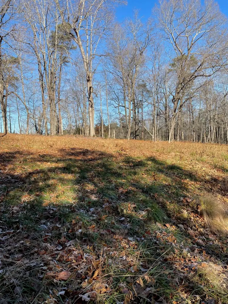 Lot 49 Lake View Pt, Glade Hill, VA 24092 - #3