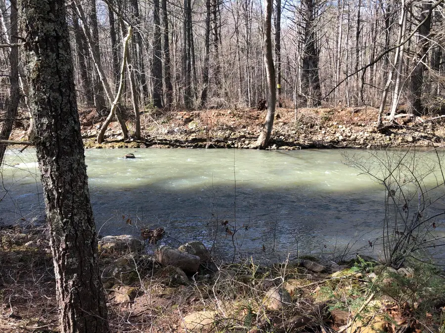 00 Potts Creek Rd, Covington, VA 24426 - #3