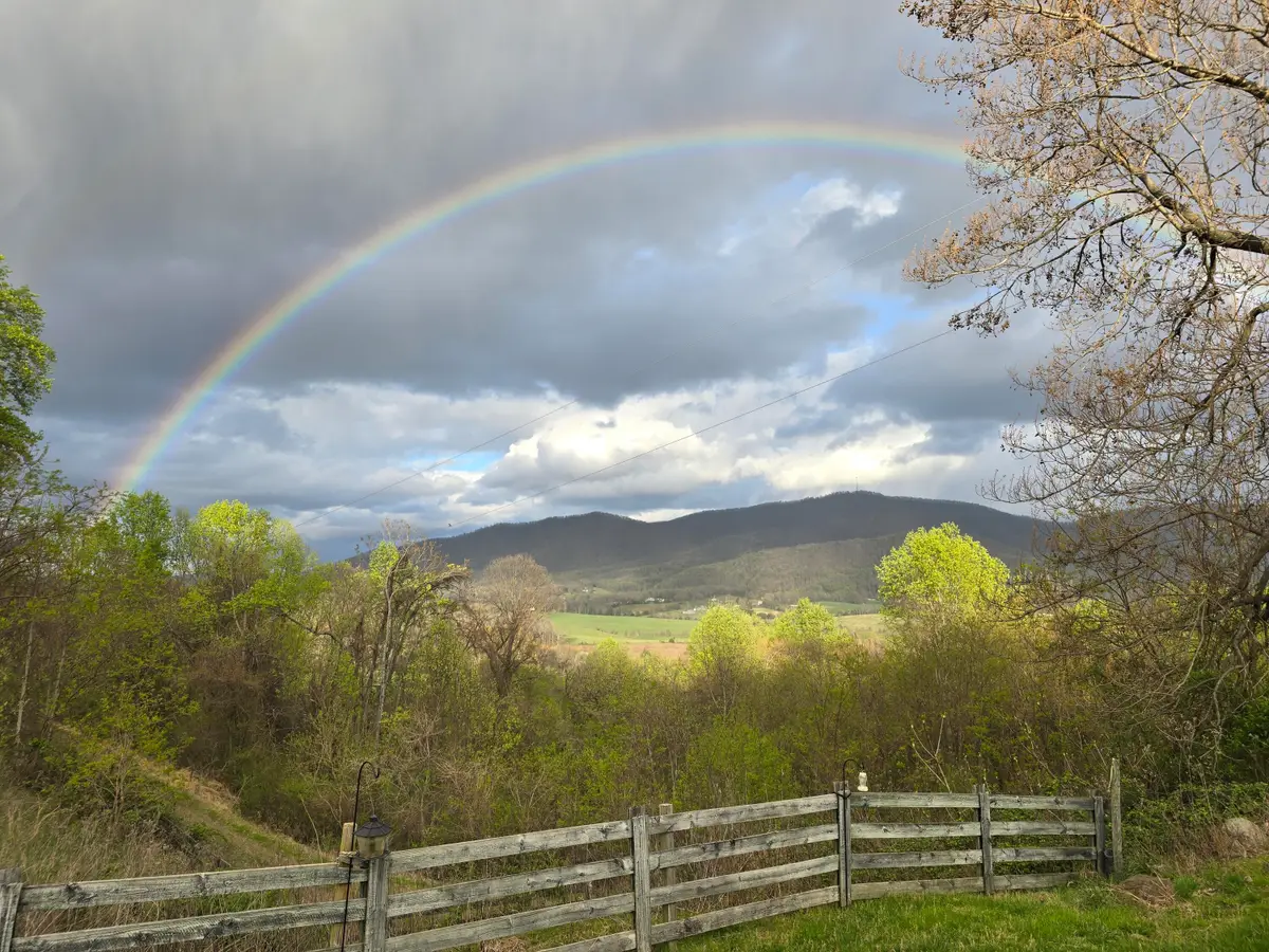 2107 Charlemont Rd, Big Island, VA 24526 - #1