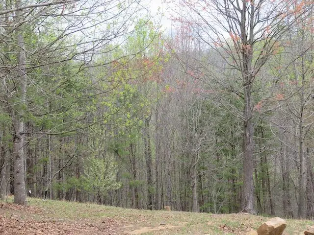 Lot 13 Woodshire Dr, Blue Ridge, VA 24064 - #2