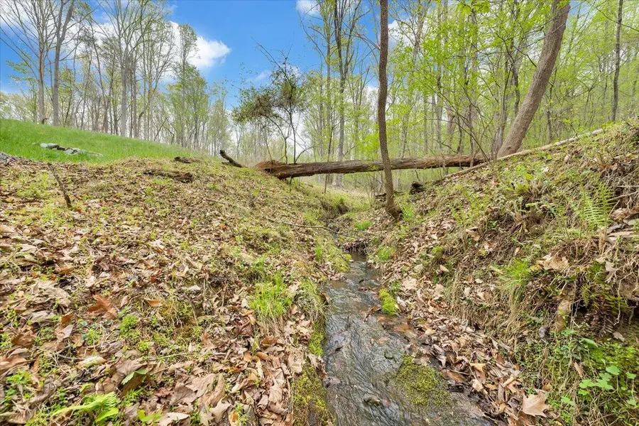 Lot 9 Red Barn Ln, Wirtz, VA 24184 - #2