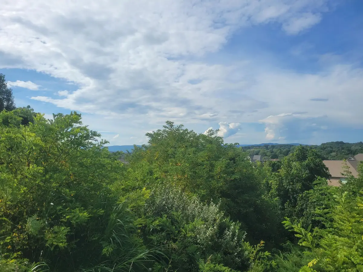 Lot 26 Graystone Dr, Daleville, VA 24083 - #1