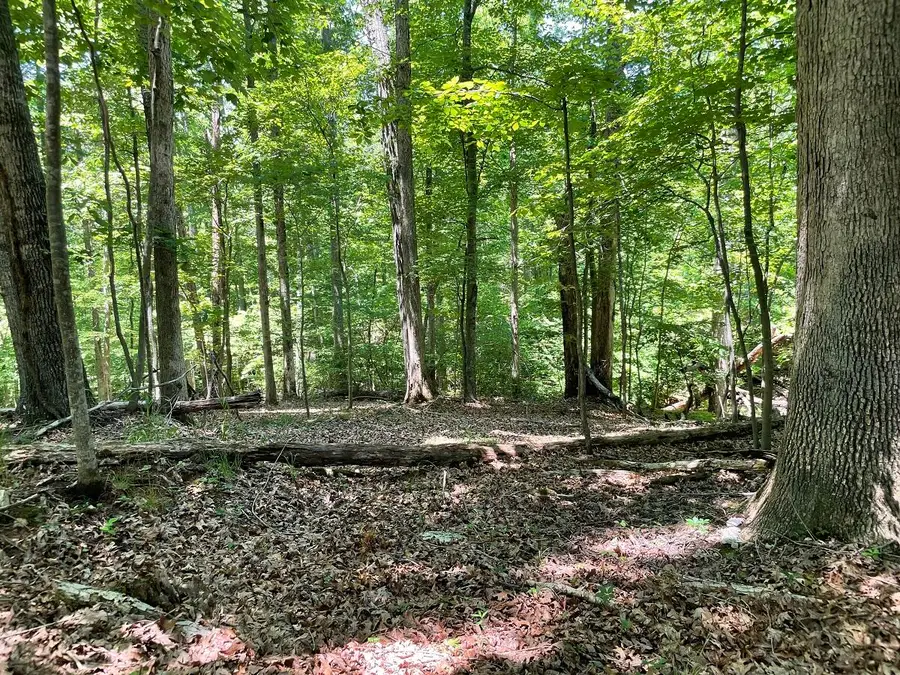 0 Cedar Bluff Ln, Hardy, VA 24101 - #3