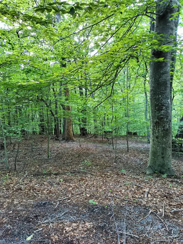 Lot 41 Old Barn Rd, Moneta, VA 24121