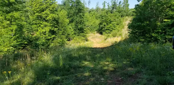 0 Indian Summer Ln, Ferrum, VA 24088