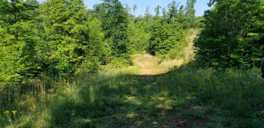 0 Indian Summer Ln, Ferrum, VA 24088 - #2