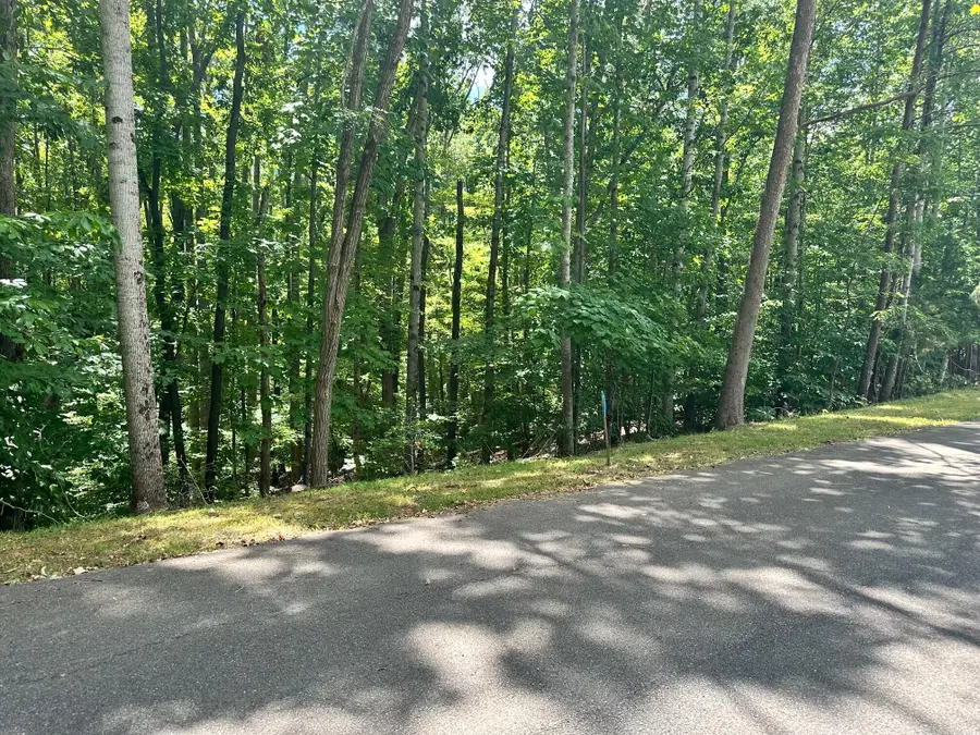 Lot 65 Ridgeway Ct, Moneta, VA 24121 - #3