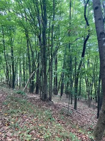 0 Ridgefield Ln, Ferrum, VA 24088 - #1