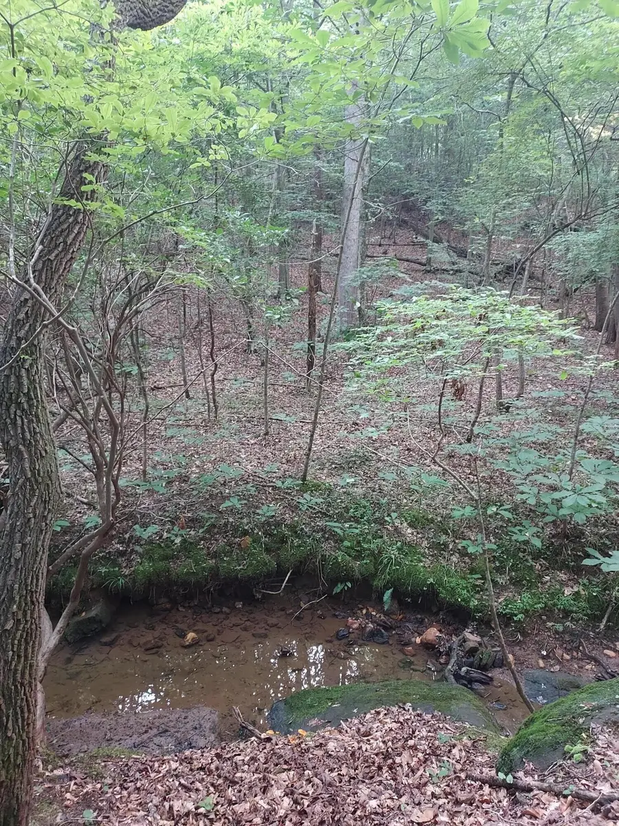 Lot 12 Red Barn Ln, Wirtz, VA 24184 - #2