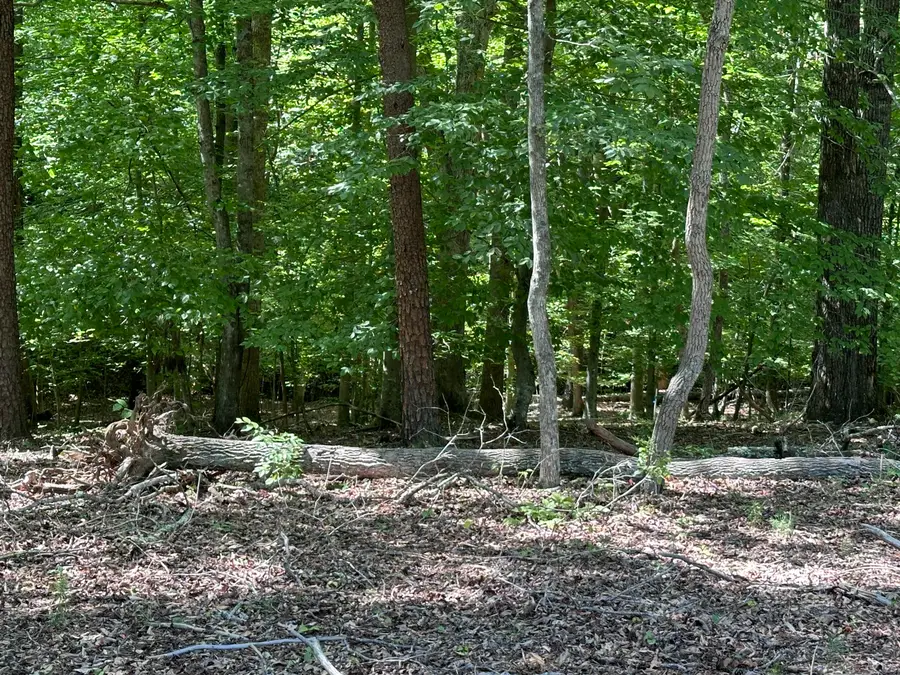 Lot 12 Red Barn Ln, Wirtz, VA 24184 - #3