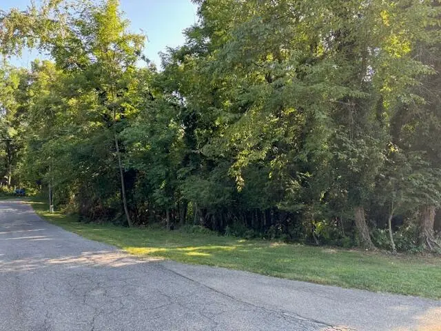 700 N Stonewall St, Salem, VA 24153 - #3