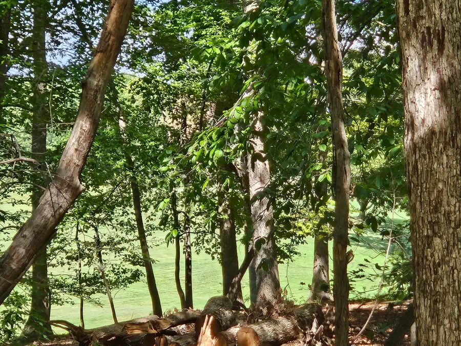 Lot 218A Hunterwood Cir, Penhook, VA 24137 - #2