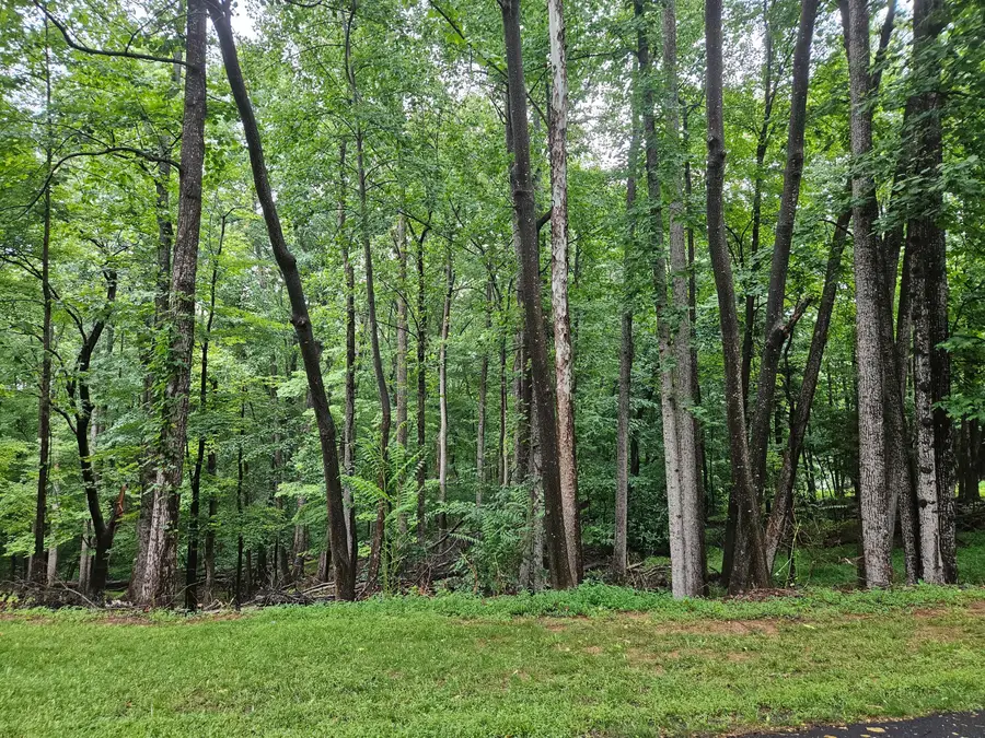 Lot 273 Niblicks Cir, Penhook, VA 24137 - #2