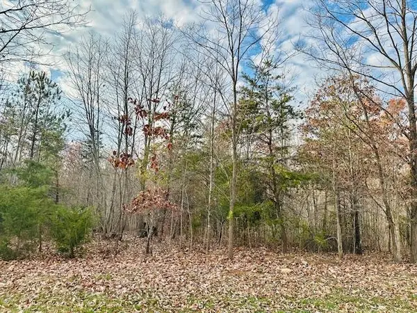 lot 6 Waterford Dr, Moneta, VA 24121