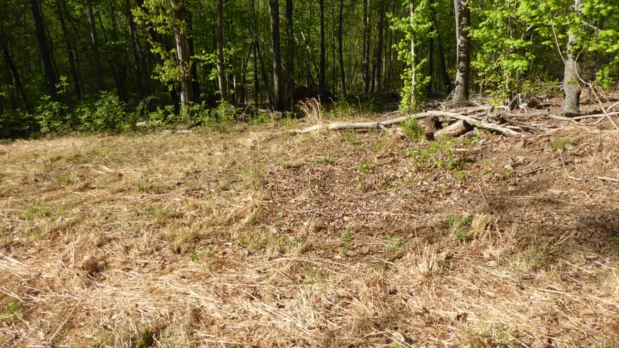 TRACT 8 Dusty Ln, Martinsville, VA 24112 - #2