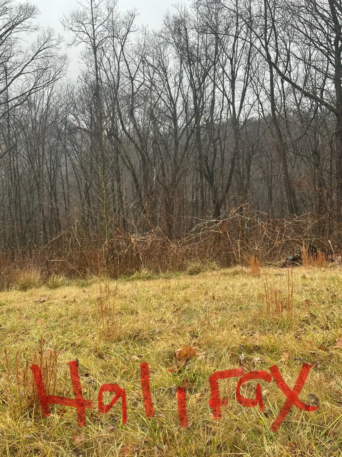 0 Halifax Cir, Vinton, VA 24179 - #1