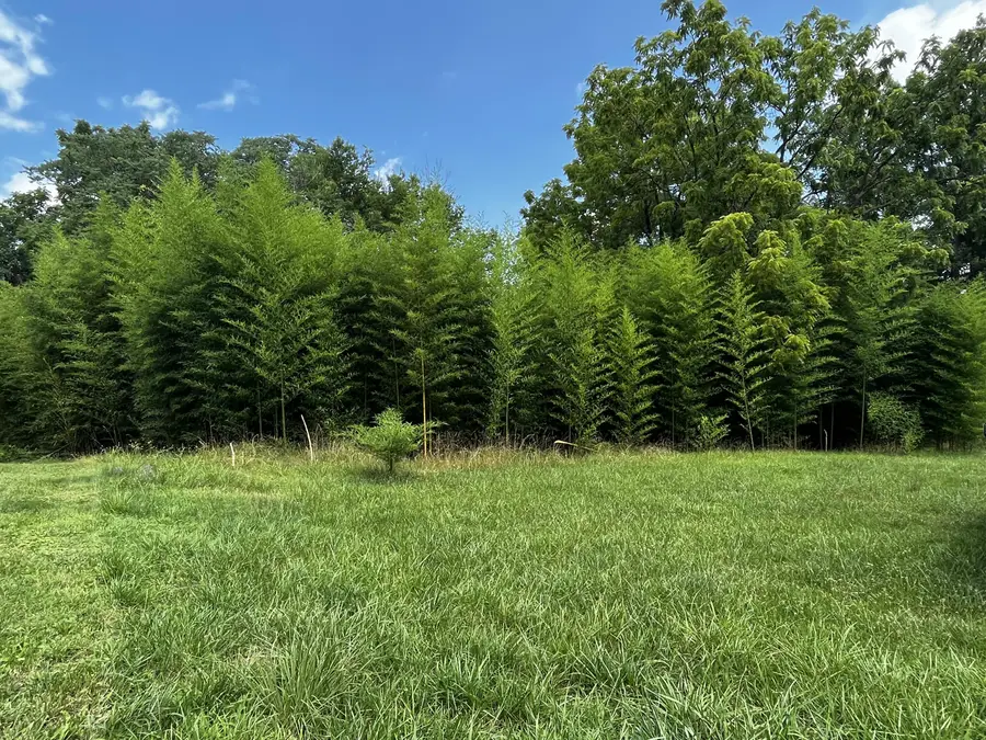 605 Selene St, Lynchburg, VA 24503 - #2