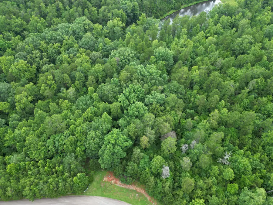 Lot 359 Clear Pointe Run, Lynch Station, VA 24571 - #3