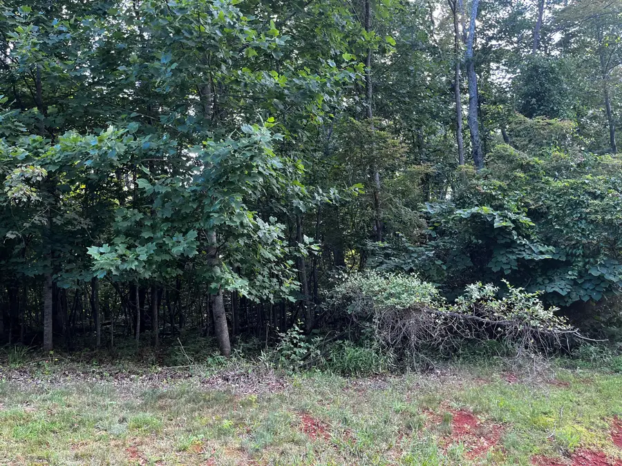 Lot 332 Bay View Rd, Lynch Station, VA 24571 - #3
