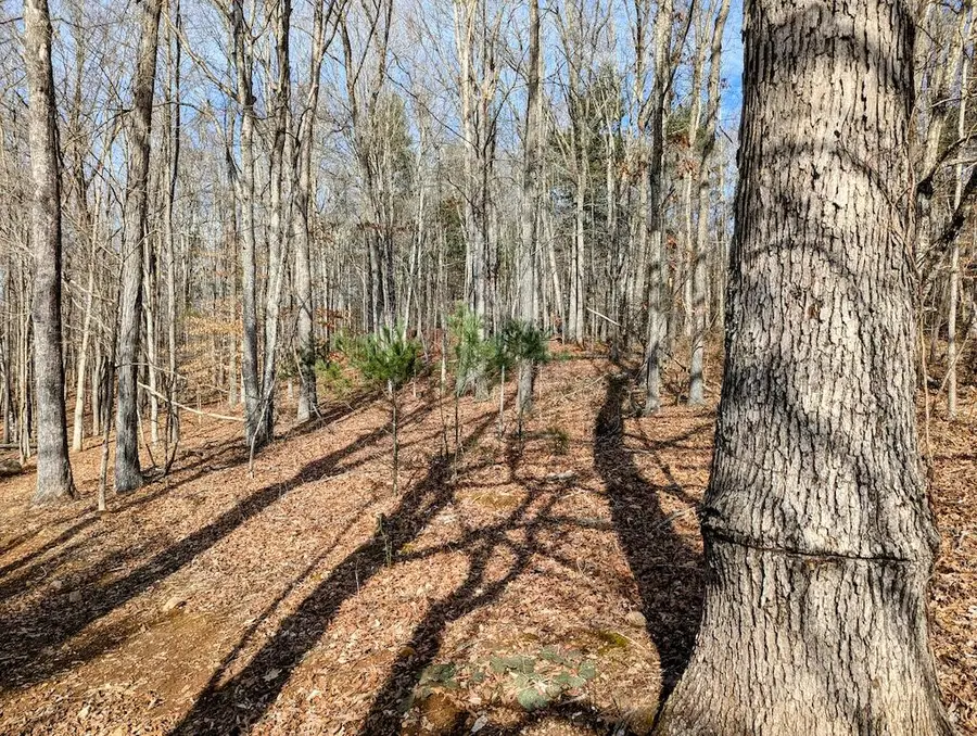 0 Irish Mountain Rd, Allisonia, VA 24347 - #2