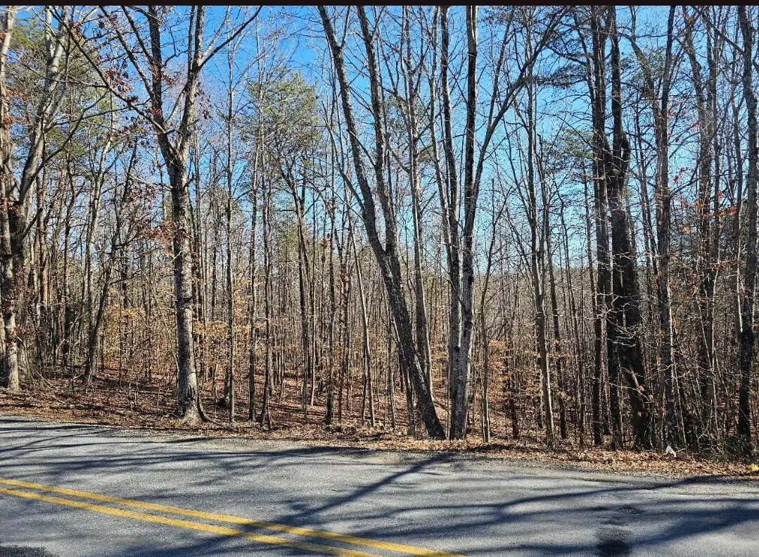 Tract 4-B Red Oak, Martinsville, VA 24112 - #1