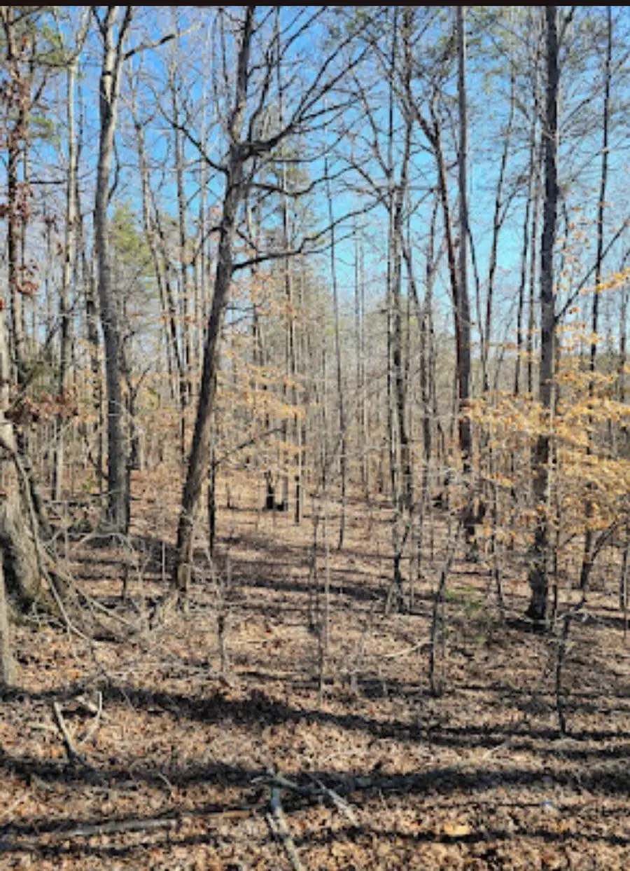 Tract 4-B Red Oak, Martinsville, VA 24112 - #3