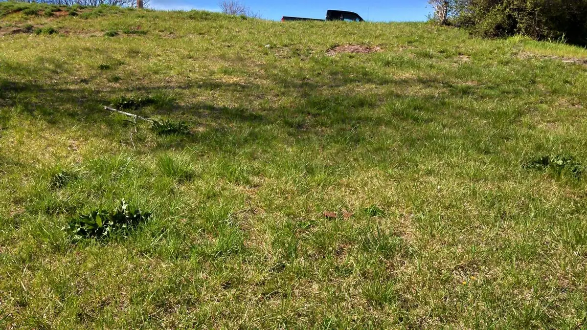 634 Tazewell Ave Se, Roanoke, VA 24013 - #1