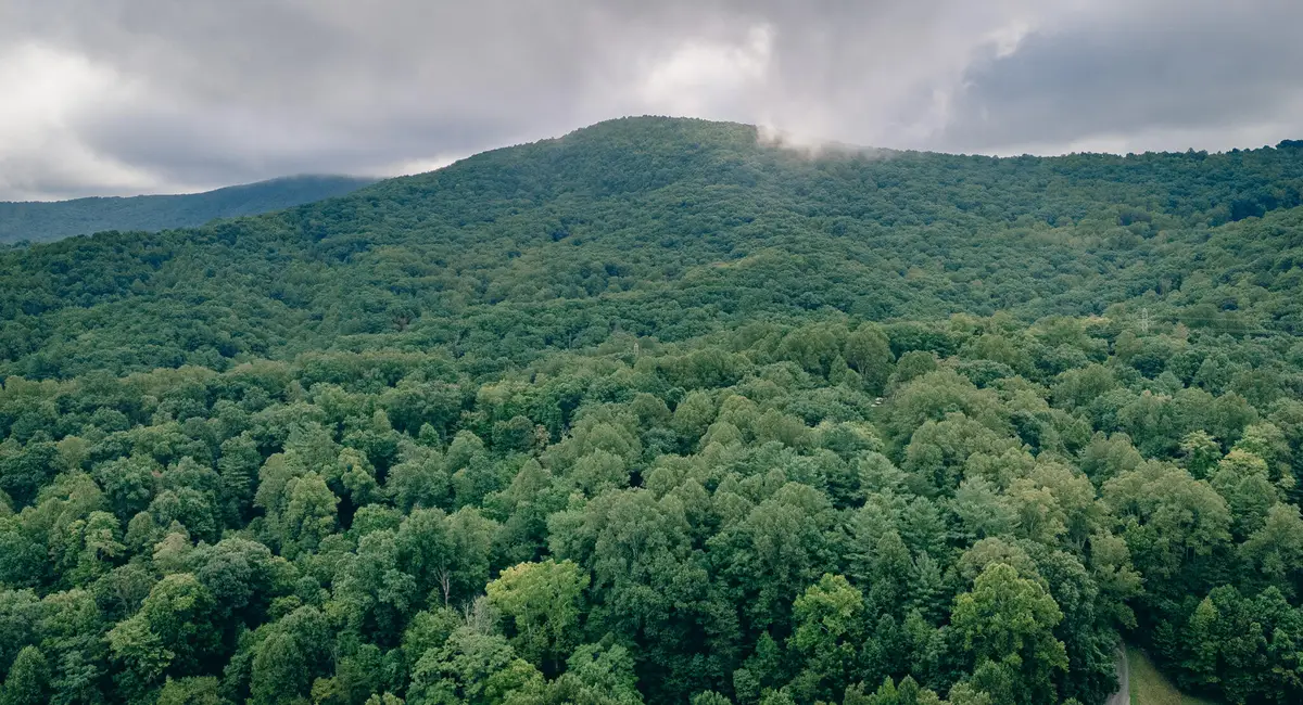 0 Crowell Gap Rd, Boones Mill, VA 24065 - #1