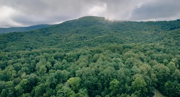 0 Crowell Gap Rd, Boones Mill, VA 24065