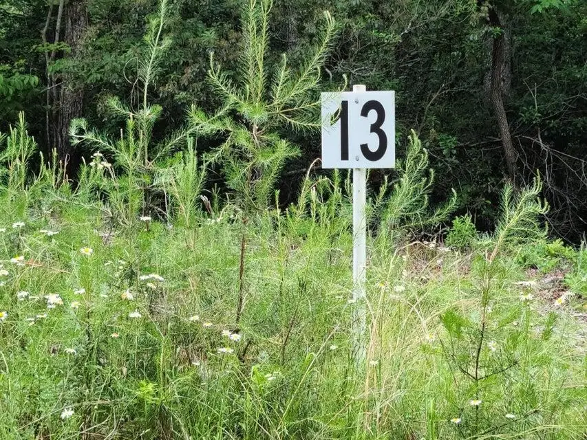 Lot 13 Belle Isle Dr, Union Hall, VA 24176 - #1