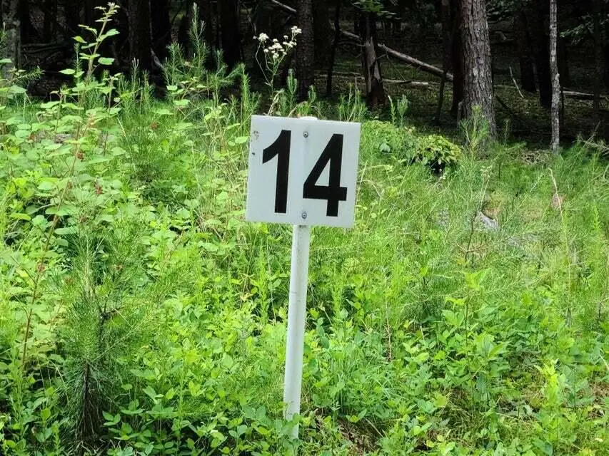 Lot 14 Belle Isle Dr, Union Hall, VA 24176 - #1