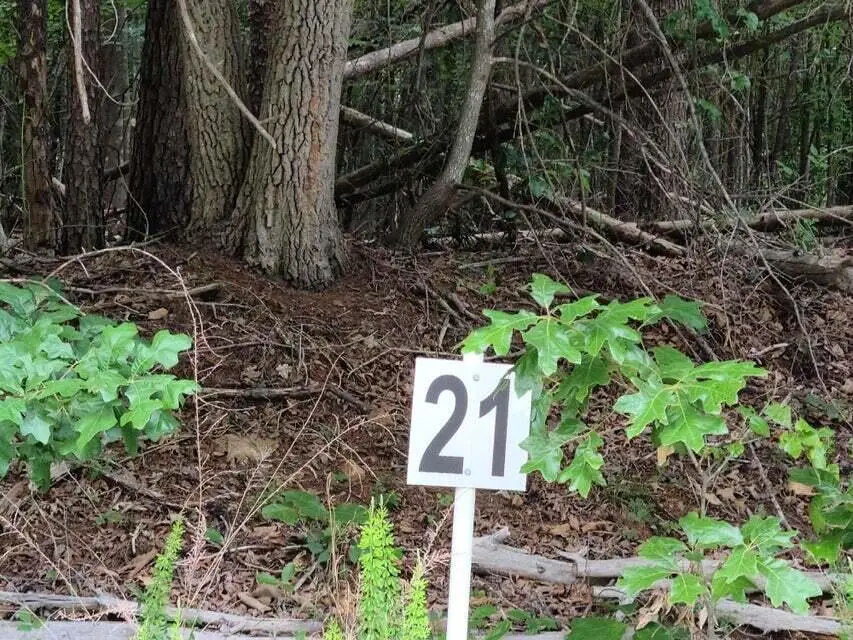 Lot 21 Belle Isle Dr, Union Hall, VA 24176 - #1