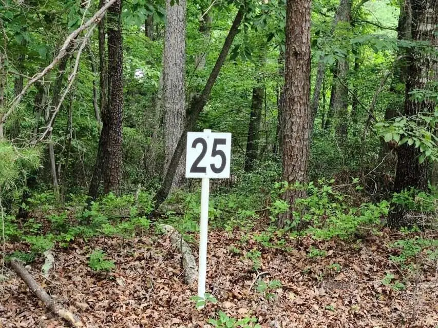 Lot 25 Belle Isle Dr, Union Hall, VA 24176 - #1