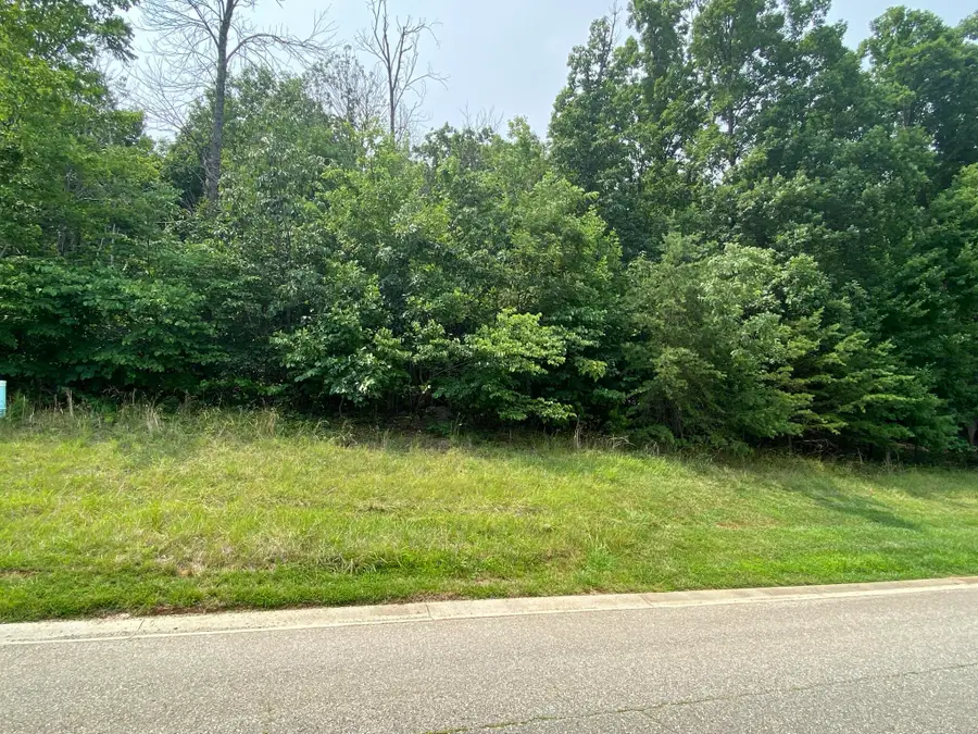 LOT 20 Summit Dr, Rocky Mount, VA 24151 - #2